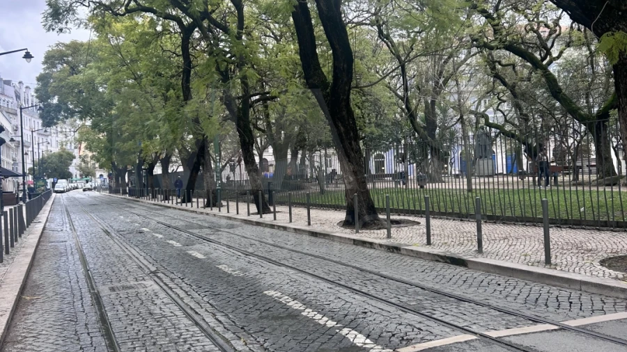 Loja para Arrendamento em Estrela