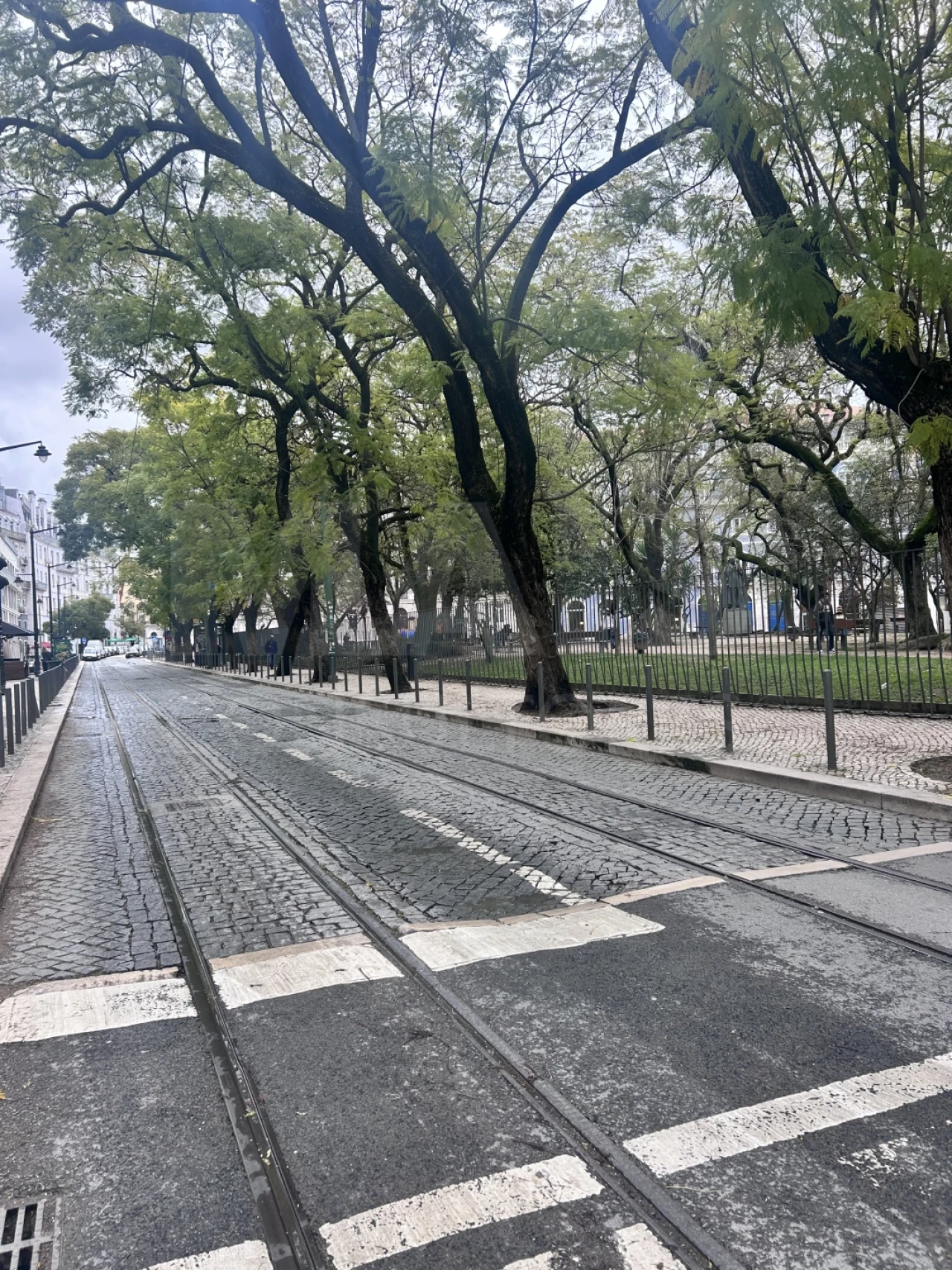 Loja para Arrendamento em Estrela Foto 2