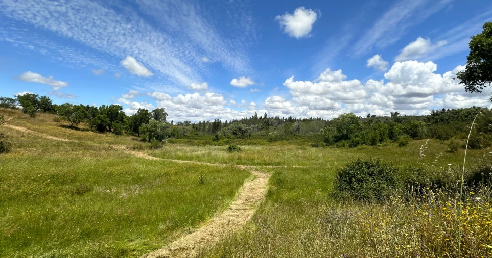 Terreno para Venda em Santiago do Cacém, Santa Cruz e São Bartolomeu da Serra Foto 7