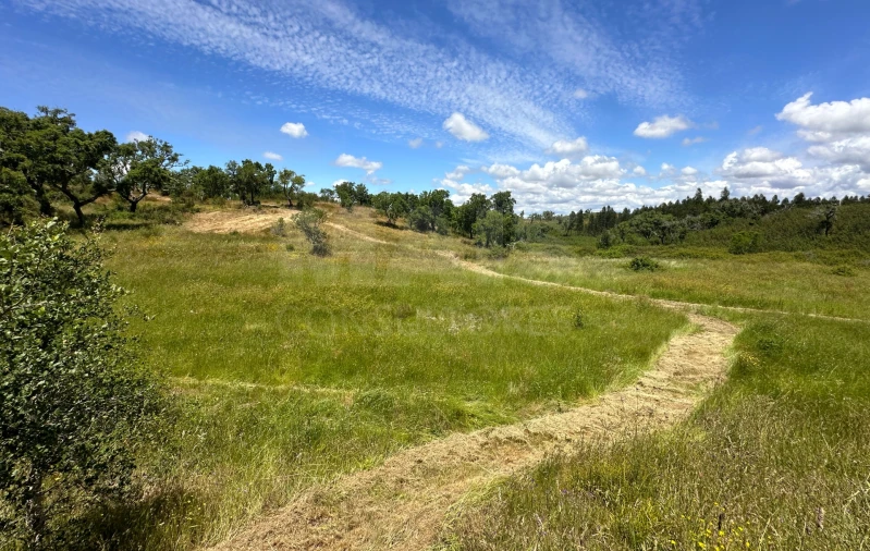 Terreno para Venda em Santiago do Cacém, Santa Cruz e São Bartolomeu da Serra Foto 6