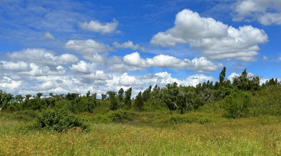 Terreno para Venda em Santiago do Cacém, Santa Cruz e São Bartolomeu da Serra Foto 8