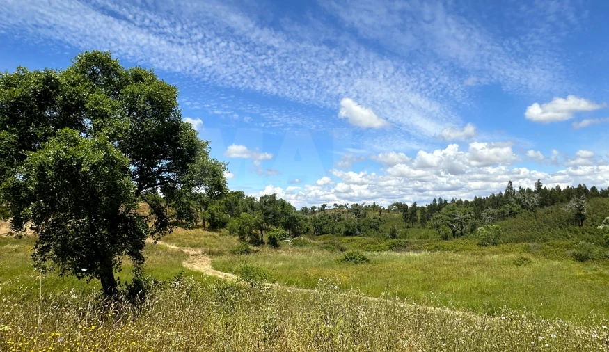 Terreno para Venda em Santiago do Cacém, Santa Cruz e São Bartolomeu da Serra Foto 9