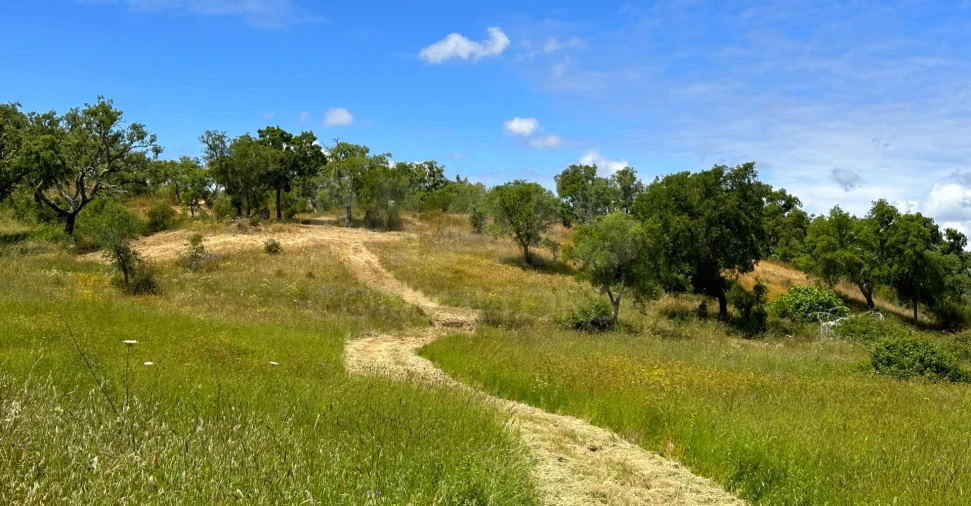 Terreno para Venda em Santiago do Cacém, Santa Cruz e São Bartolomeu da Serra Foto 5
