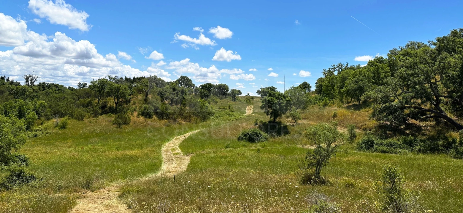 Terreno para Venda em Santiago do Cacém, Santa Cruz e São Bartolomeu da Serra Foto 10