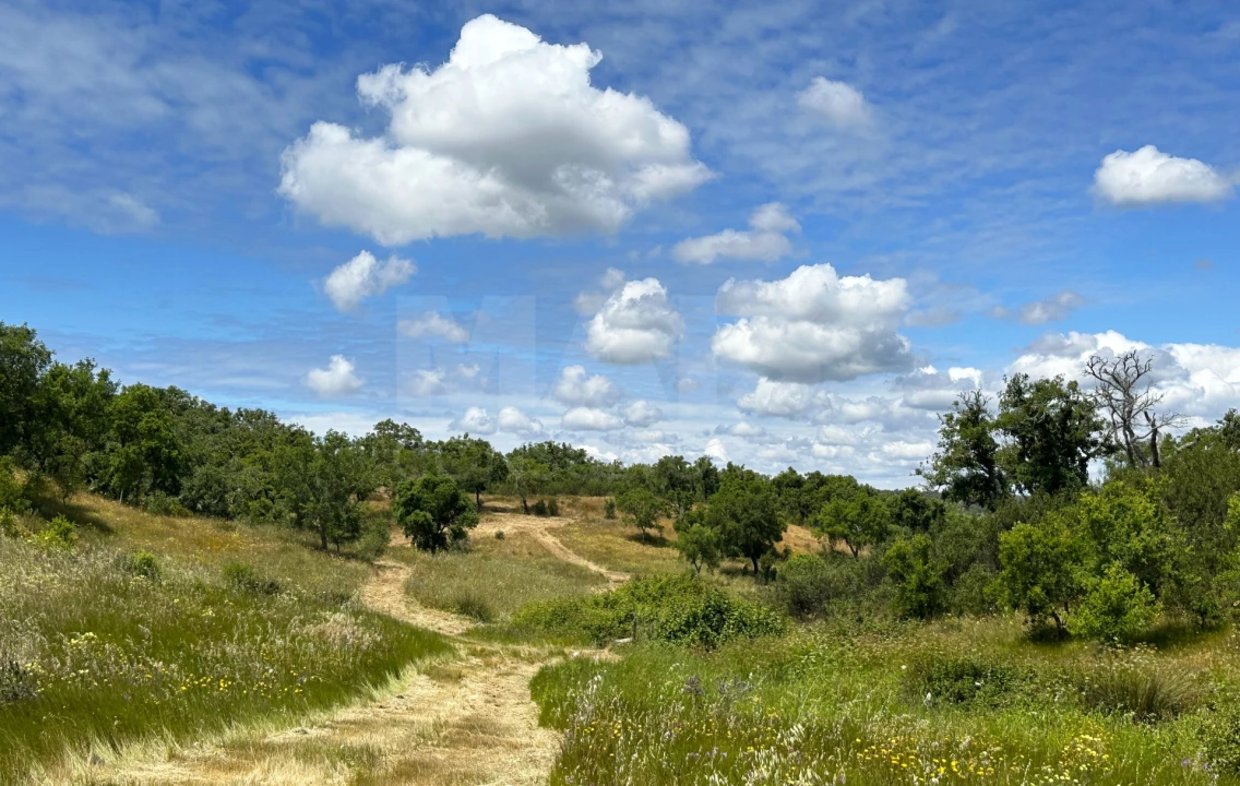 Terreno para Venda em Santiago do Cacém, Santa Cruz e São Bartolomeu da Serra Foto 3
