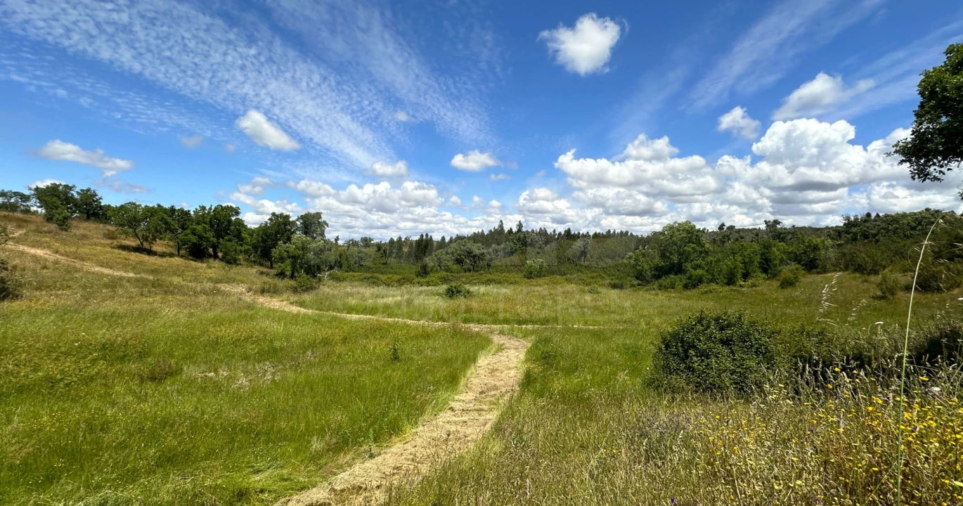 Terreno para Venda em Santiago do Cacém, Santa Cruz e São Bartolomeu da Serra Foto 7