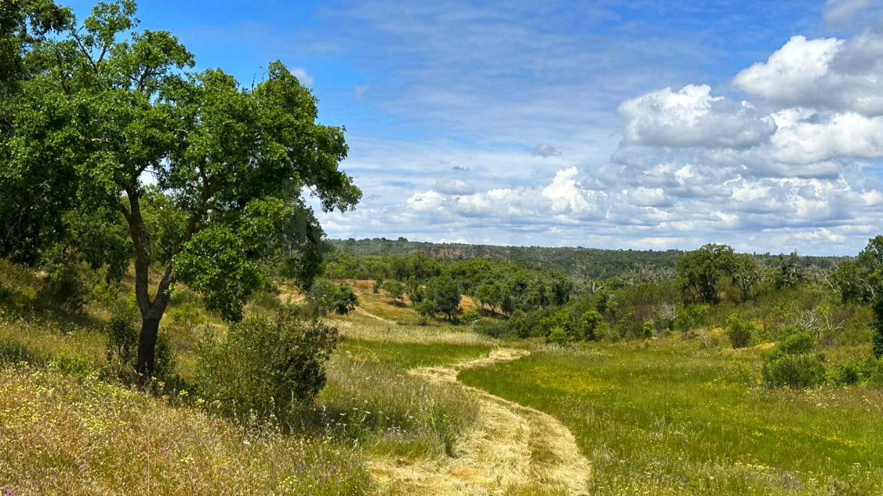 Terreno para Venda em Santiago do Cacém, Santa Cruz e São Bartolomeu da Serra Foto 1
