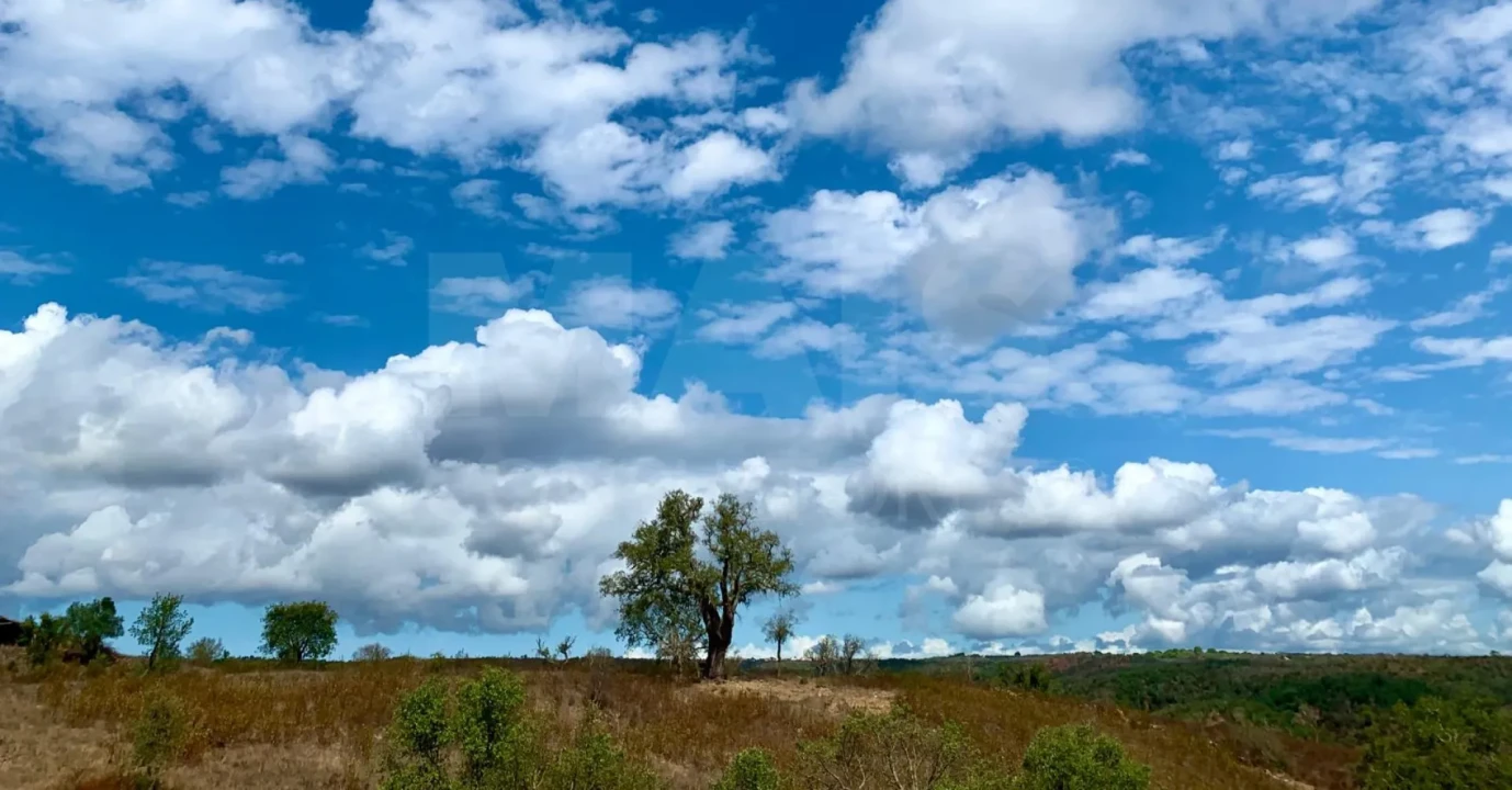 Terreno para Venda em Santiago do Cacém, Santa Cruz e São Bartolomeu da Serra Foto 7