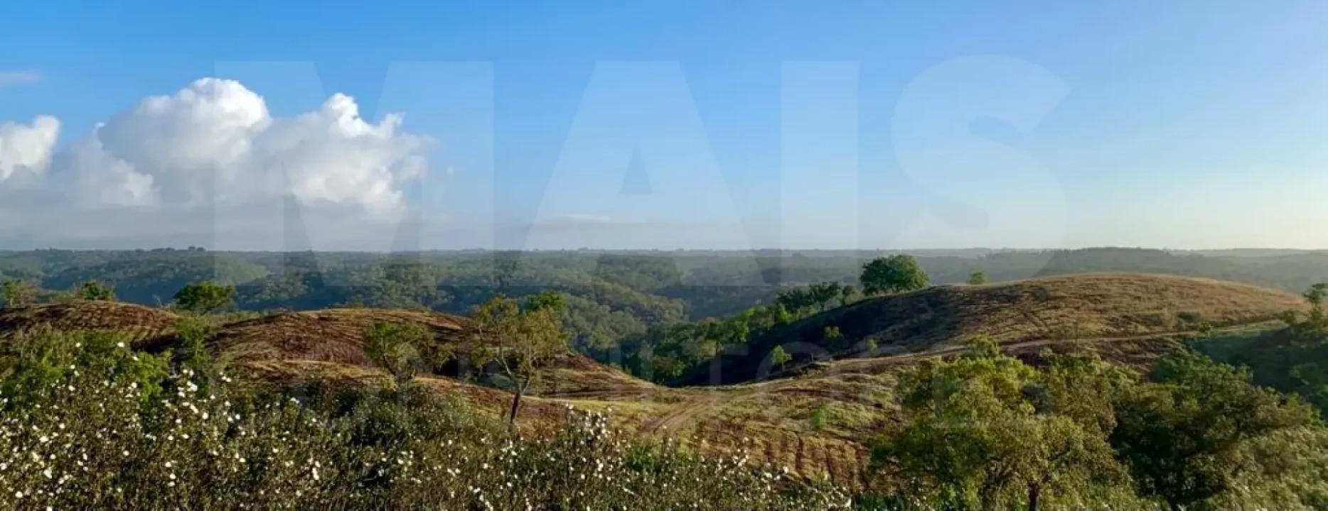 Terreno para Venda em Santiago do Cacém, Santa Cruz e São Bartolomeu da Serra Foto 3