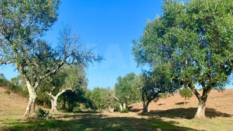 Terreno para Venda em Santiago do Cacém, Santa Cruz e São Bartolomeu da Serra Foto 12