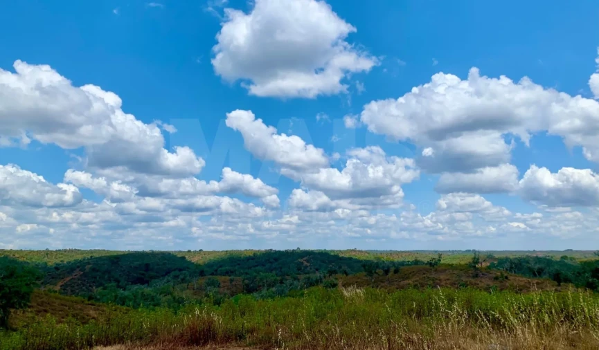 Terreno para Venda em Santiago do Cacém, Santa Cruz e São Bartolomeu da Serra Foto 8