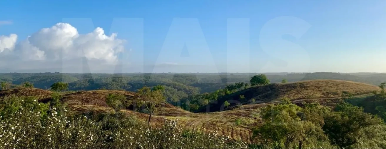 Terreno para Venda em Santiago do Cacém, Santa Cruz e São Bartolomeu da Serra Foto 3