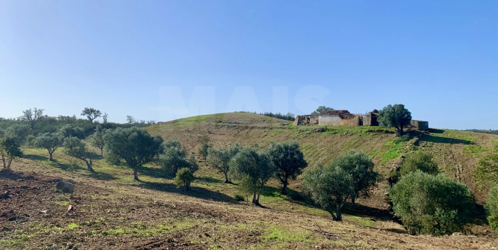 Terreno para Venda em Santiago do Cacém, Santa Cruz e São Bartolomeu da Serra Foto 10