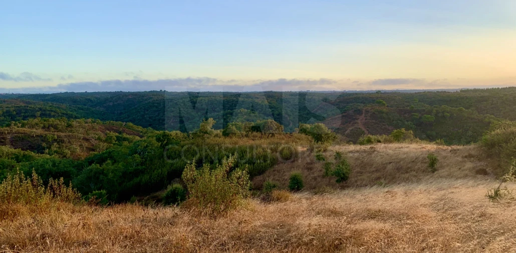 Terreno para Venda em Santiago do Cacém, Santa Cruz e São Bartolomeu da Serra Foto 5
