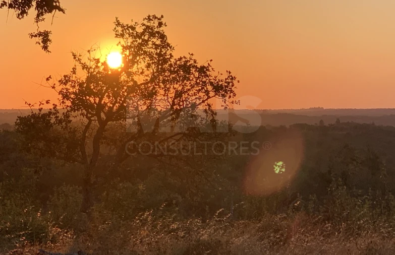Terreno para Venda em Santiago do Cacém, Santa Cruz e São Bartolomeu da Serra Foto 2