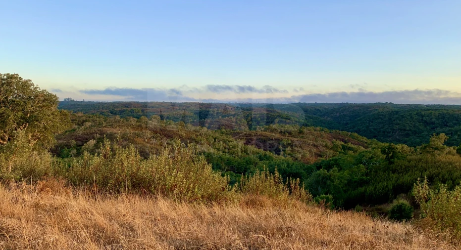Terreno para Venda em Santiago do Cacém, Santa Cruz e São Bartolomeu da Serra Foto 4