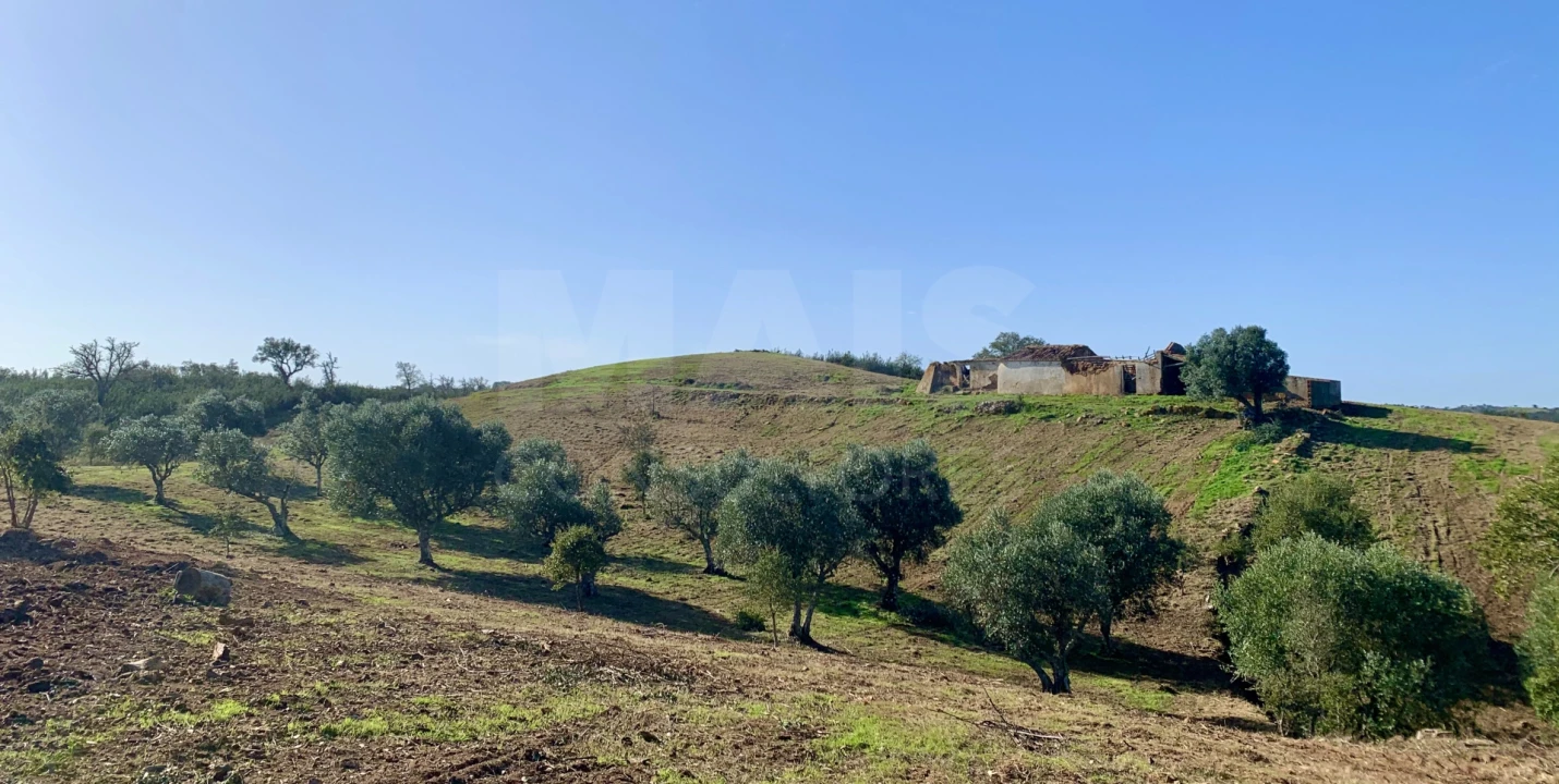 Terreno para Venda em Santiago do Cacém, Santa Cruz e São Bartolomeu da Serra Foto 10