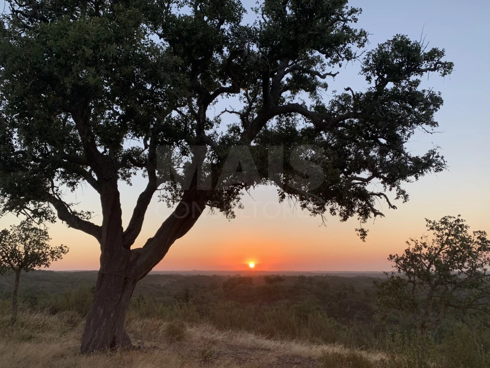 Terreno para Venda em Santiago do Cacém, Santa Cruz e São Bartolomeu da Serra Foto 1