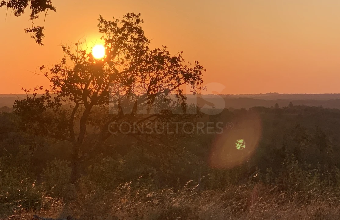 Terreno para Venda em Santiago do Cacém, Santa Cruz e São Bartolomeu da Serra Foto 2