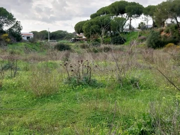 Terreno para Venda em Almancil