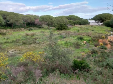 Terreno para Venda em Almancil