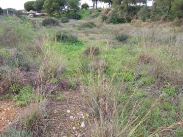 Terreno para Venda em Almancil