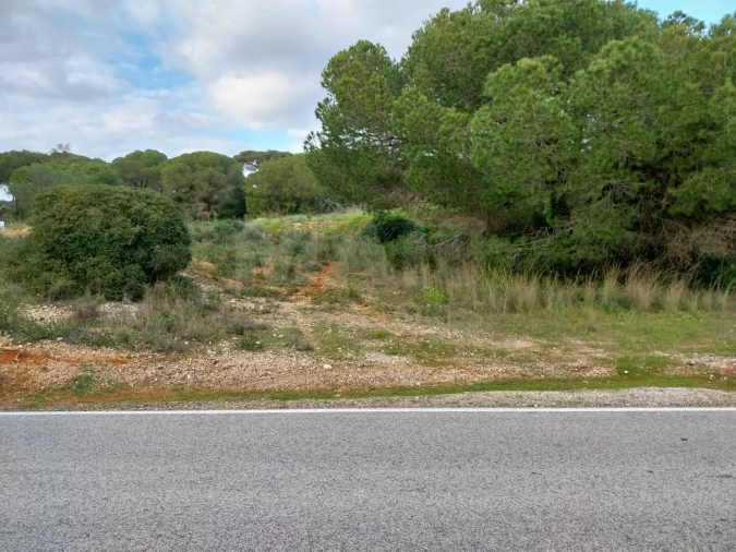 Terreno para Venda em Almancil Foto 2