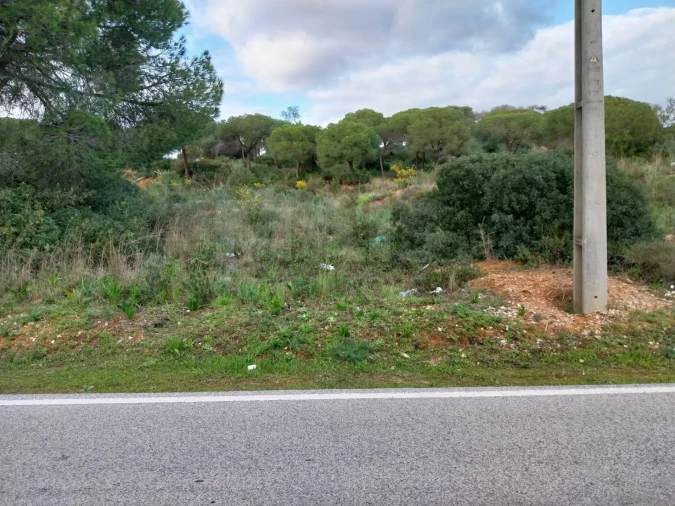 Terreno para Venda em Almancil Foto 3