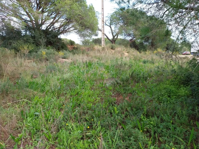 Terreno para Venda em Almancil Foto 4