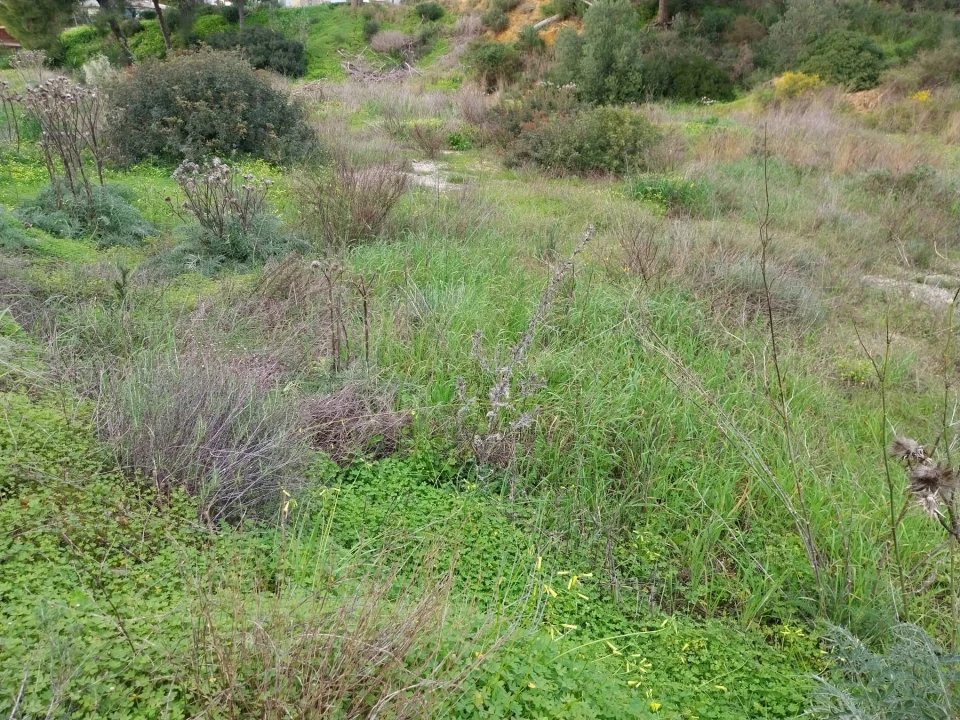 Terreno para Venda em Almancil Foto 8