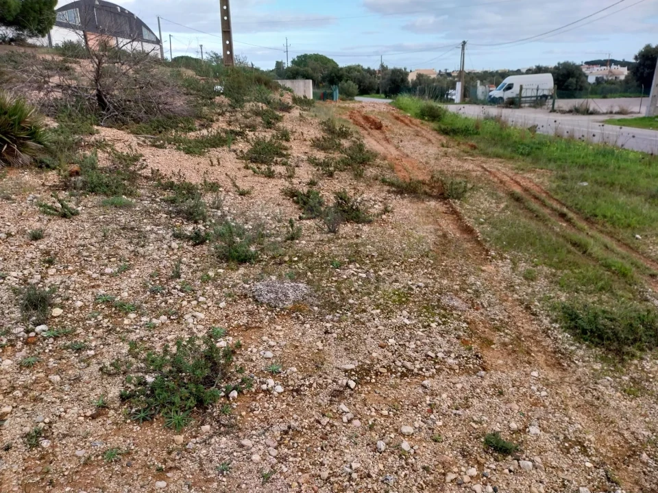 Terreno para Venda em Almancil Foto 2