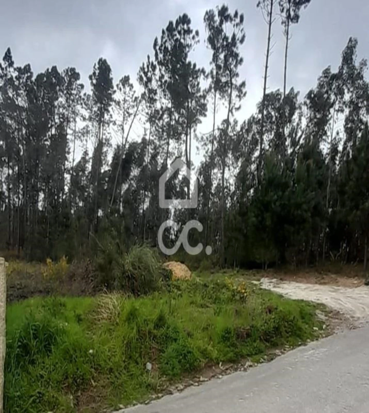 Terreno para Venda em Cristelos, Boim e Ordem Foto 24