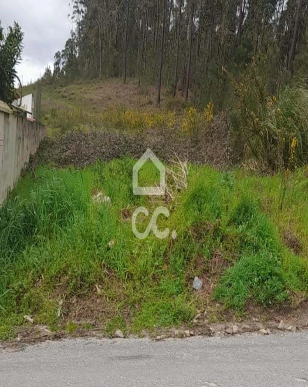Terreno para Venda em Cristelos, Boim e Ordem Foto 15