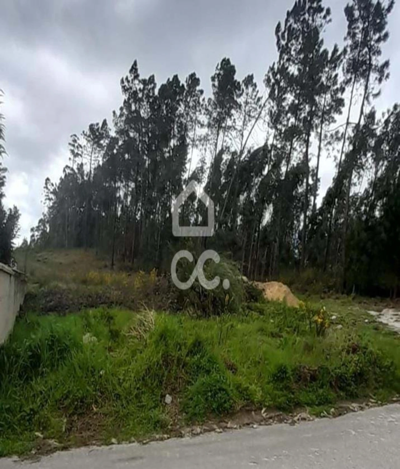 Terreno para Venda em Cristelos, Boim e Ordem Foto 26