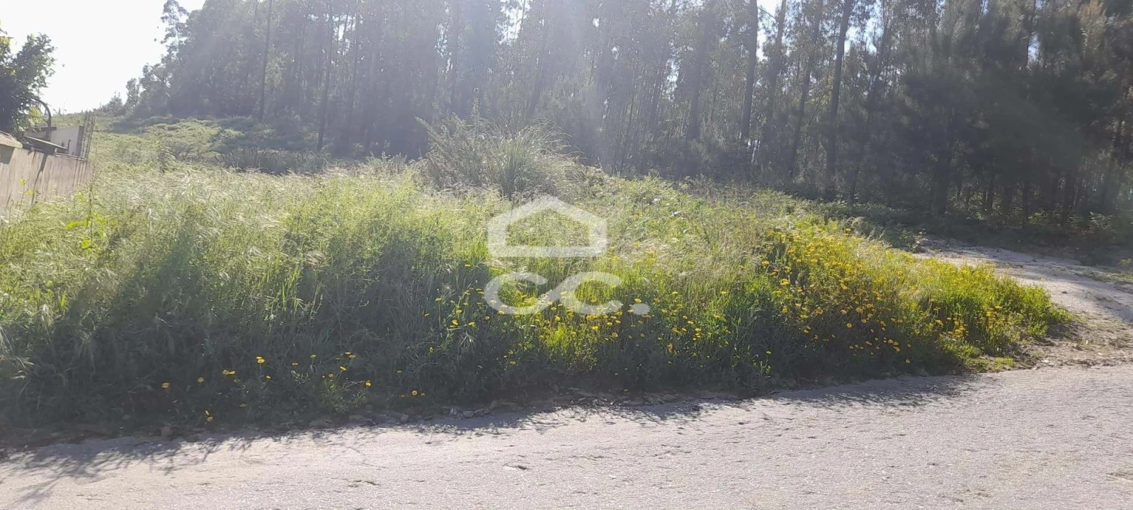 Terreno para Venda em Cristelos, Boim e Ordem Foto 4