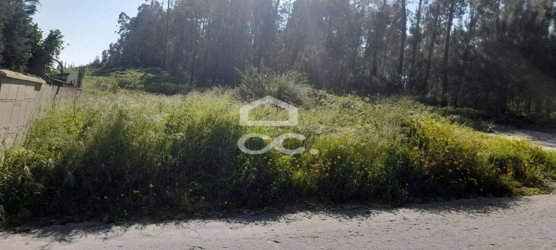 Terreno para Venda em Cristelos, Boim e Ordem