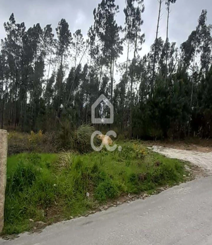 Terreno para Venda em Cristelos, Boim e Ordem Foto 25