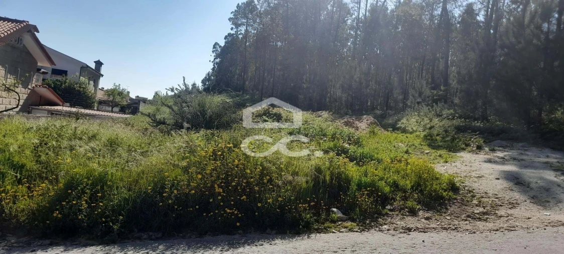 Terreno para Venda em Cristelos, Boim e Ordem Foto 6