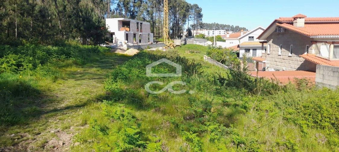 Terreno para Venda em Cristelos, Boim e Ordem Foto 8