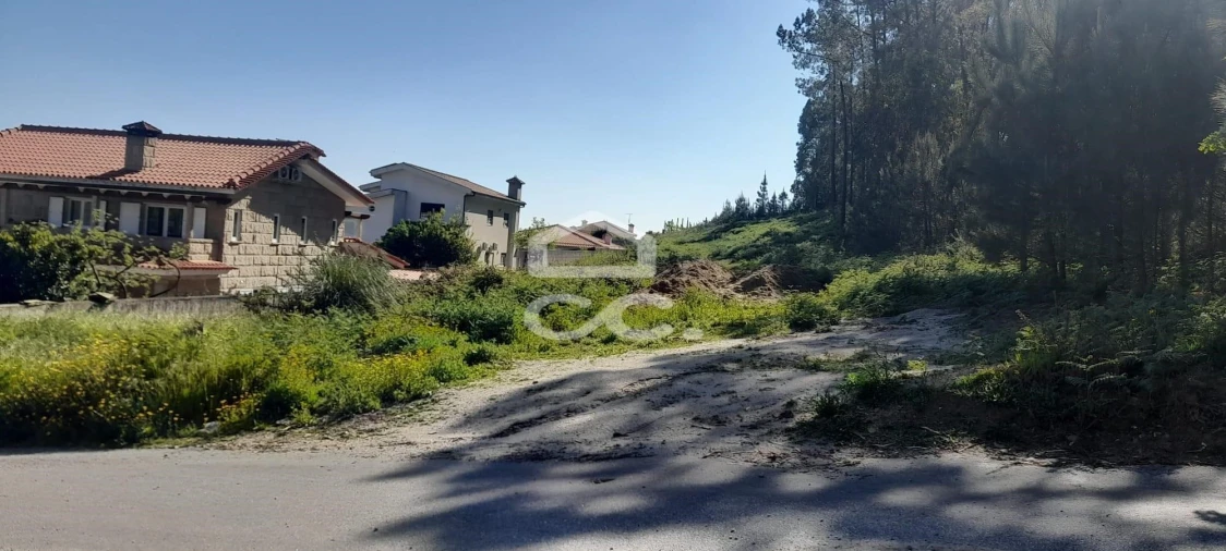 Terreno para Venda em Cristelos, Boim e Ordem Foto 2