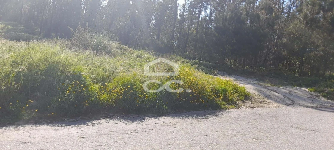 Terreno para Venda em Cristelos, Boim e Ordem Foto 7