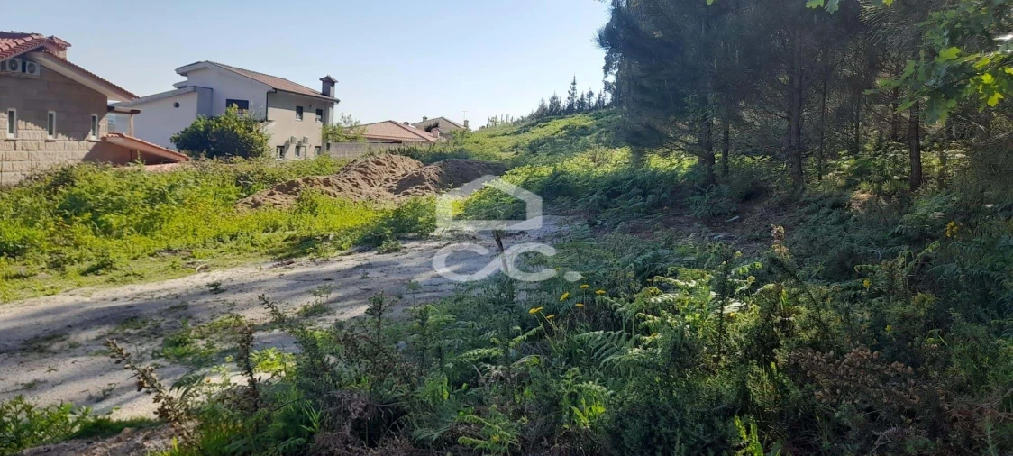 Terreno para Venda em Cristelos, Boim e Ordem Foto 10