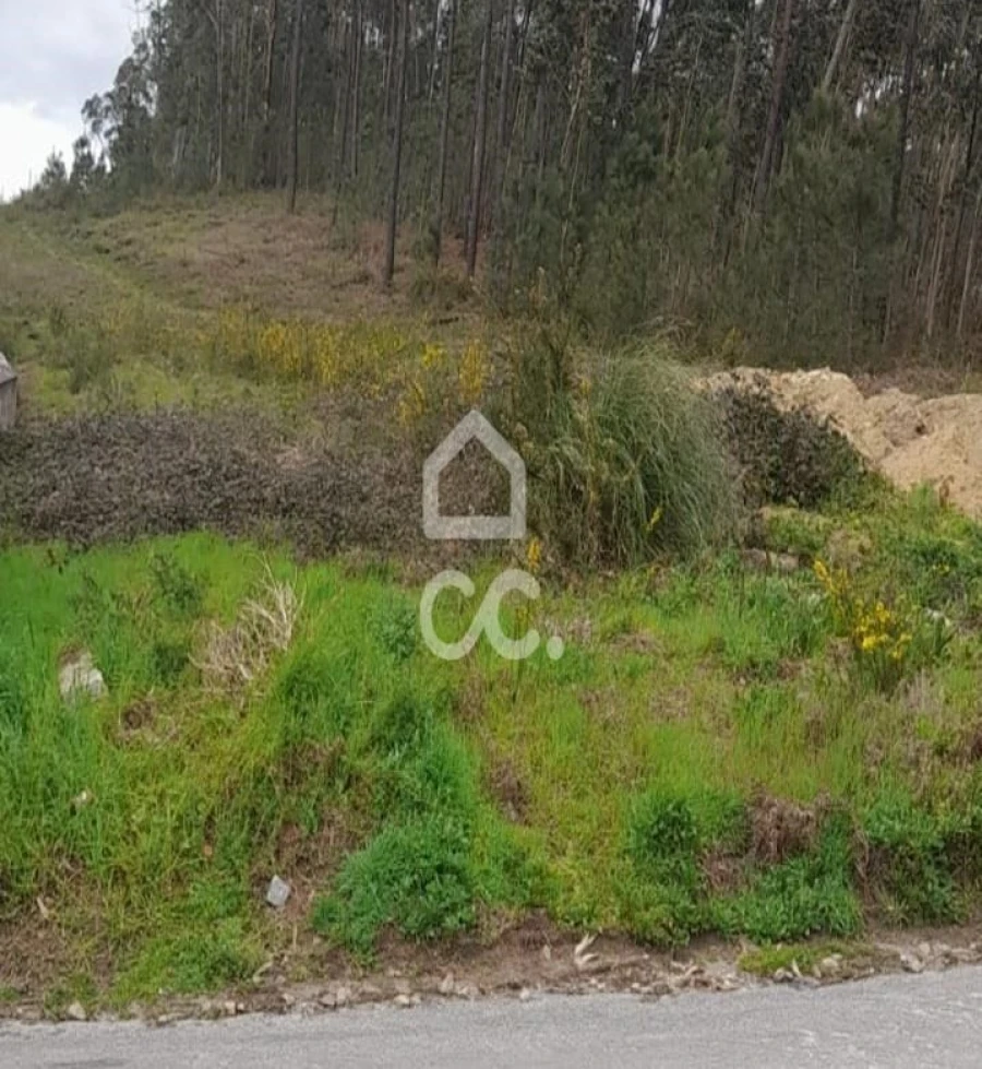 Terreno para Venda em Cristelos, Boim e Ordem Foto 17