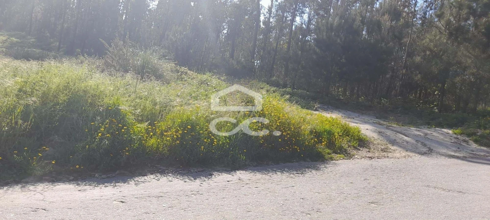 Terreno para Venda em Cristelos, Boim e Ordem Foto 7