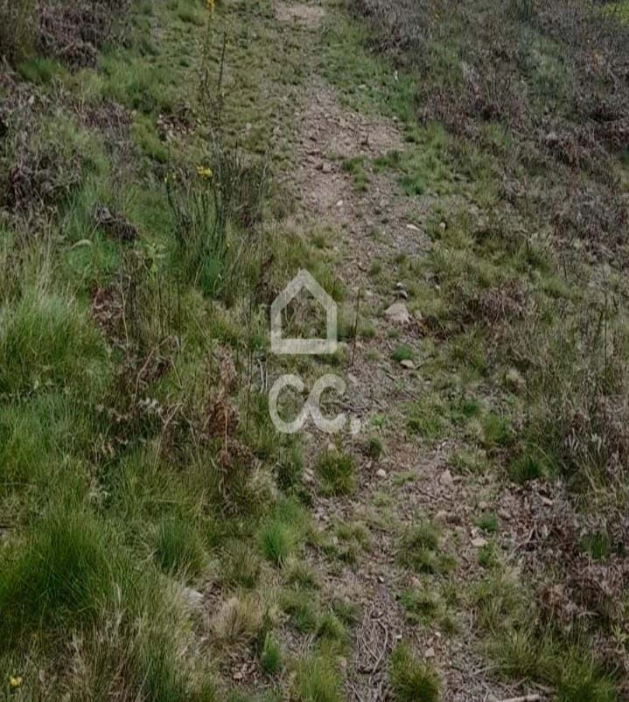 Terreno para Venda em Cristelos, Boim e Ordem Foto 19