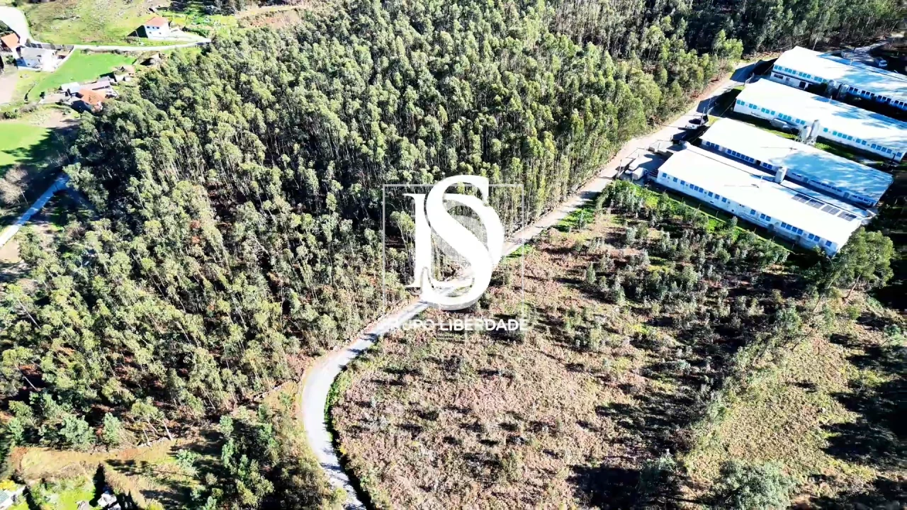 Terreno para Venda em Pico de Regalados, Gondiães e Mós Foto 5