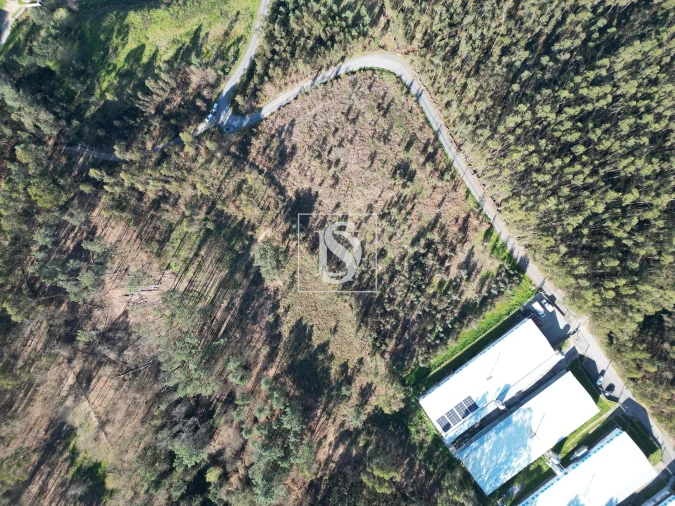 Terreno para Venda em Pico de Regalados, Gondiães e Mós Foto 4