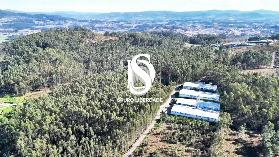 Terreno para Venda em Pico de Regalados, Gondiães e Mós Foto 10