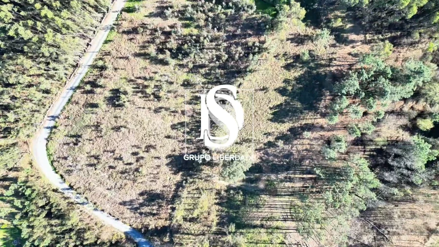 Terreno para Venda em Pico de Regalados, Gondiães e Mós Foto 22