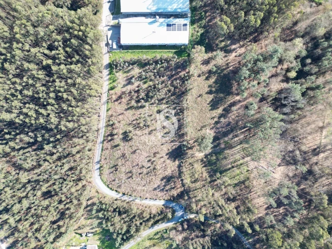 Terreno para Venda em Pico de Regalados, Gondiães e Mós Foto 3